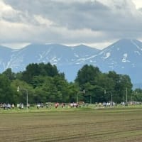 ’25『丘のまち　びえいヘルシーマラソン』参加しました！