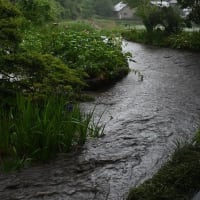 濁流