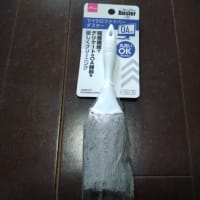 久しぶりのダイソー・・・・・。