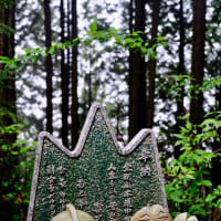 大阪で一番高い山-大阪府千早赤阪村：金剛山