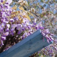 「カフェ・モンド」尾張旭市