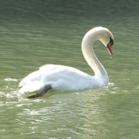 松山城山公園の散策♪（6月27日）