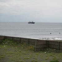 大磯海岸をぶらぶら-------豪雨の後だったので流木が沢山有りました