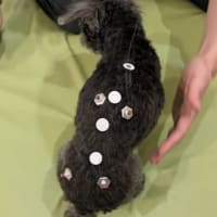 じっとしているのは重労働だもん！