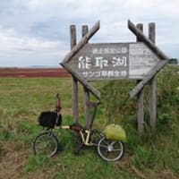 【第11話 北海道(道北~道東)2019】アタマが2つに割れ、6本の触手を伸ばして獲物を捕らえる恐怖 網走