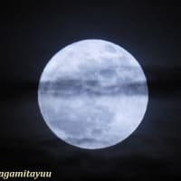 今夜はフラワームーンという「満月」である！！
