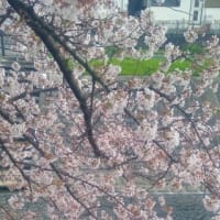 アラゴルンの演説ふたたび Loomings