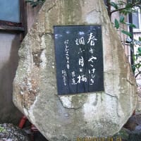 金沢市: 本 長 寺 小さな境内に粋な芭蕉句碑！