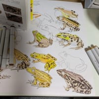 確認するたびに増える