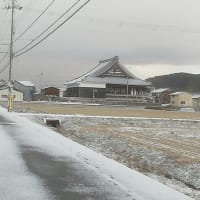 老婆心ながら・・