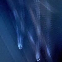 ベトナム語と私