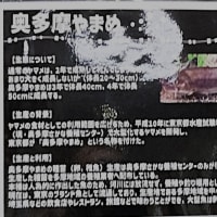 東京都農林総合研究センター見学
