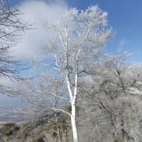 カラダに教え込む