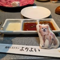 今日は母の日です
