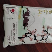 昨日の、購入した物。
