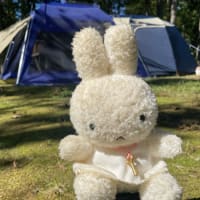 きゃんぷいってきましたー