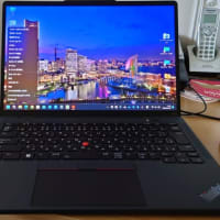 Thinkpad X13s Gen 1購入