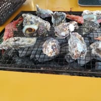 牡蠣の蔵