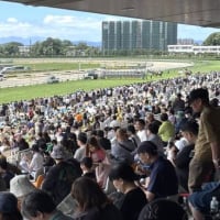 函館競馬・２歳新馬戦で “白毛馬” 快勝．．．