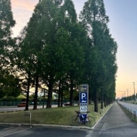 朝の散歩