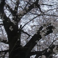 桜の地蔵尊会館