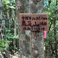 「由布川峡谷探検ツアー」に参加しました、その５。