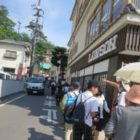 2025年6月　6回目の宮島弥山トレッキング(博打尾・大元公園コース)は真夏でした。