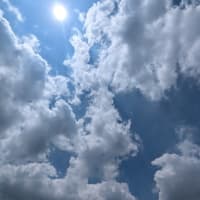 【気まぐれ写真館】 今年の「上期終了」まで、あと１週間