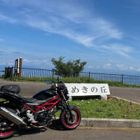 真夏のような暑い中　西伊豆へでかけてきました