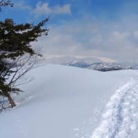 ちゃんと、向き合うということ。