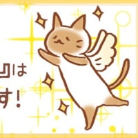 引っ越しします！