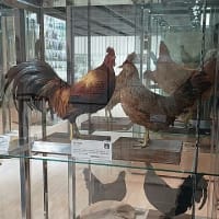 「食と農」の博物館