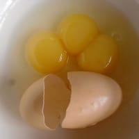 三黄卵