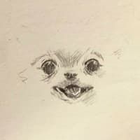 初めまして