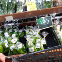 昨日はね保田小学校