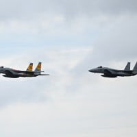 航空自衛隊第203飛行隊60周年のF15は