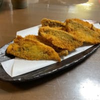 釣果報告‼︎20250118釣りぞめ