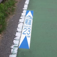 しまなみ海道サイクリング