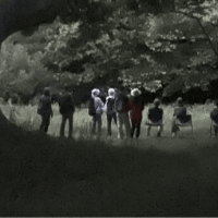 池子の森自然公園ホタル観察会