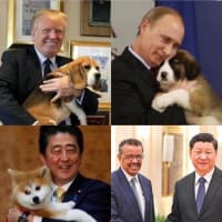 武漢肺炎　犬にも？