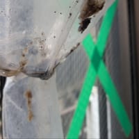 エアコンクリーニングに関して一言