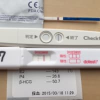 KLC　3周期目(凍結胚移植周期） BT7　判定日