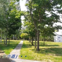 　「年寄りの冷や水」・・・