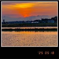 今日いち-2025年5月18日
