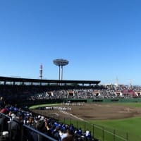 #9170 昨日は⚾保土ヶ谷に👏🏼
