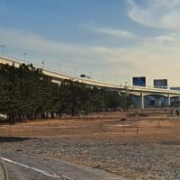 二色の浜でのシクロクロス