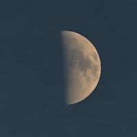 今夜の月　9月11日♫