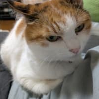 今日いち-2025年5月28日