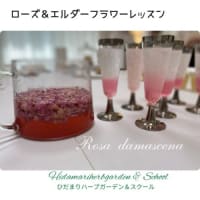 フレッシュハーブのレッスン「エルダーフラワー＆ローズ」