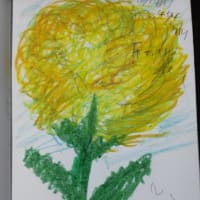 「大きなキクの花」